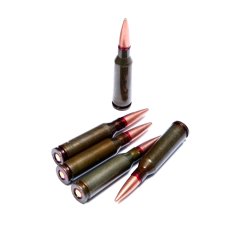 Obrázek (1)